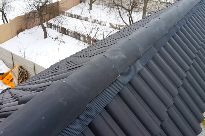 Winter Roofing Options